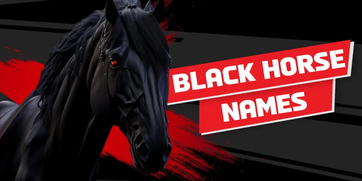 Black Horse Names